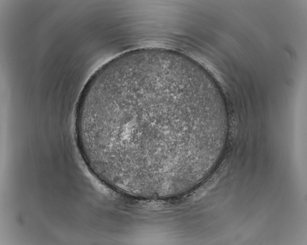 X0000111210991200907221147