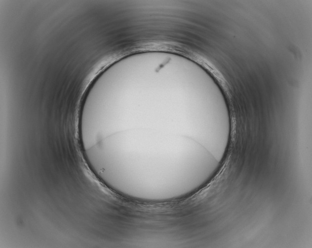 X0000111210994200907221147