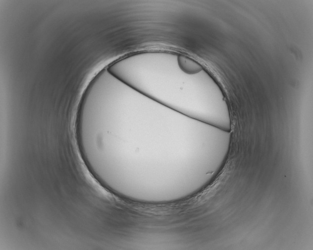 X0000111210995200907221147