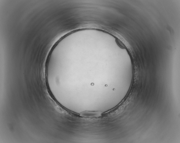 X0000111210996200907221147