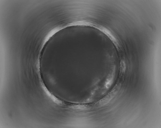 X0000111210998200907221147