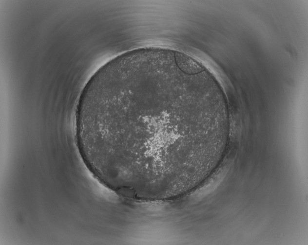 X0000111210999200907221147