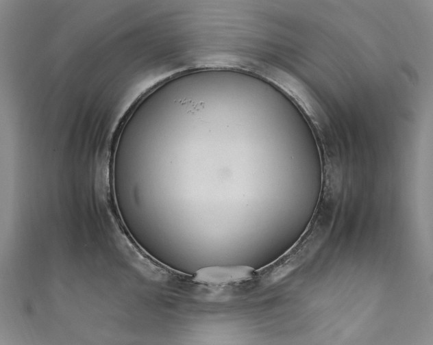 X0000111211000200907221147