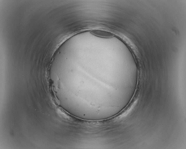 X0000111211001200907221147