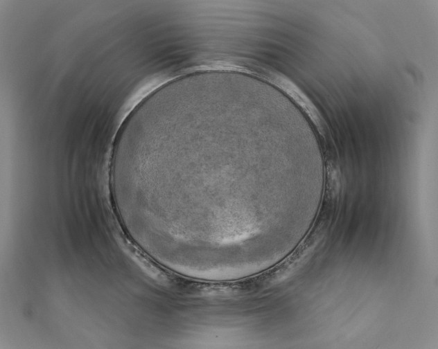 X0000111211002200907221147