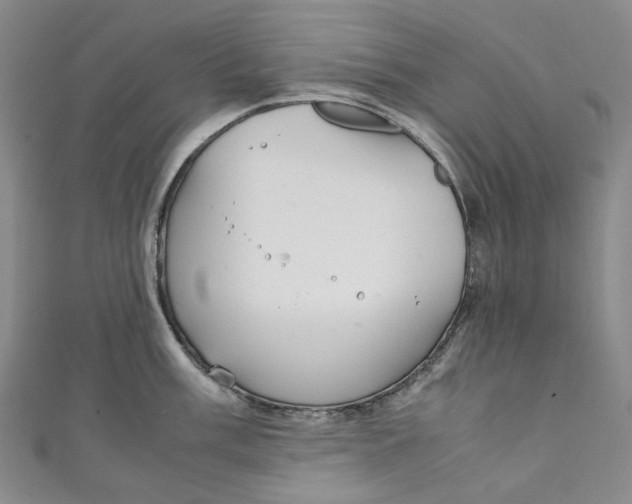 X0000111211003200907221147