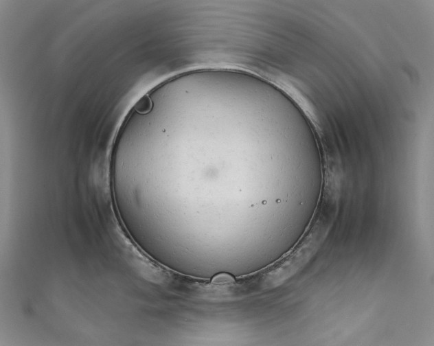 X0000111211004200907221147