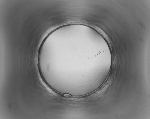 X0000111211005200907221147