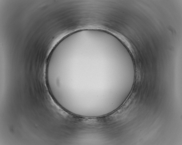 X0000111211006200907221147