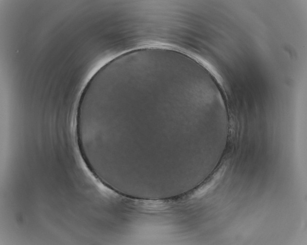 X0000111211007200907221147