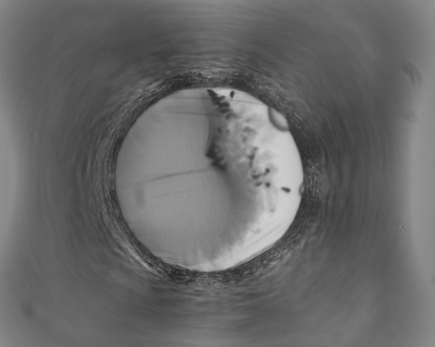 X0000111211009200907221146