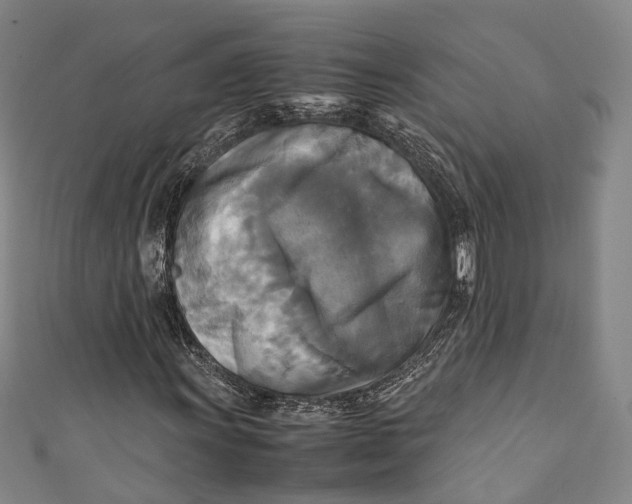 X0000111211011200907221146