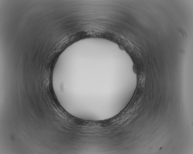 X0000111211012200907221146