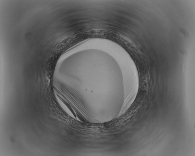 X0000111211013200907221146