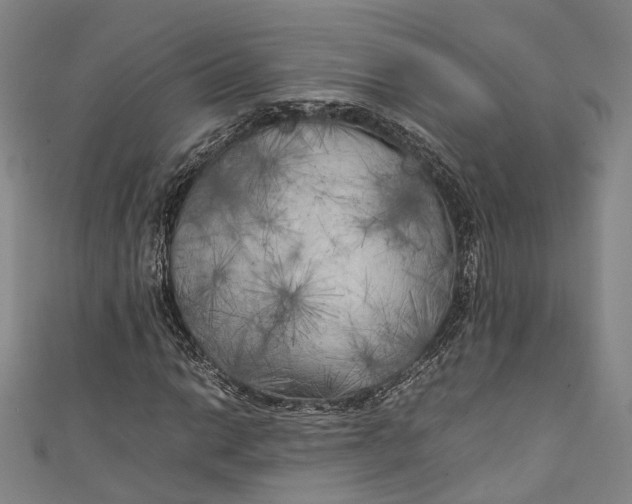 X0000111211014200907221146