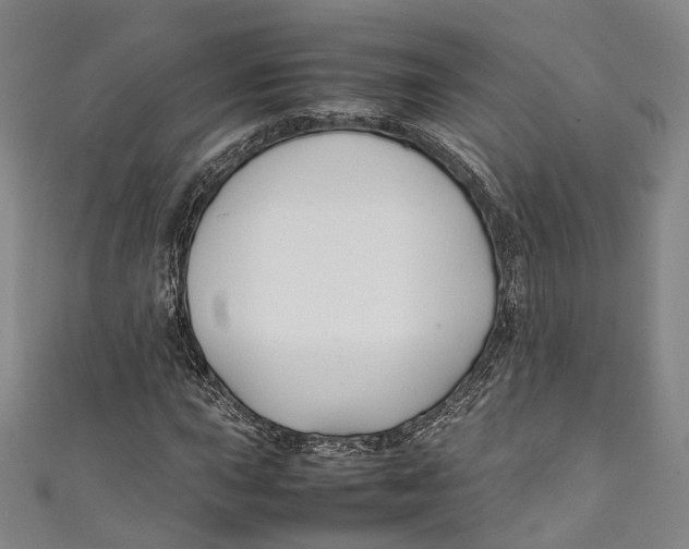 X0000111211015200907221146