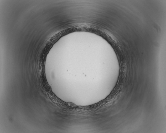 X0000111211016200907221146