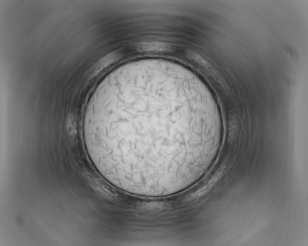 X0000111211017200907221146