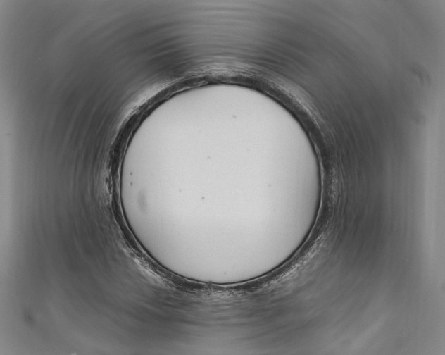 X0000111211018200907221147