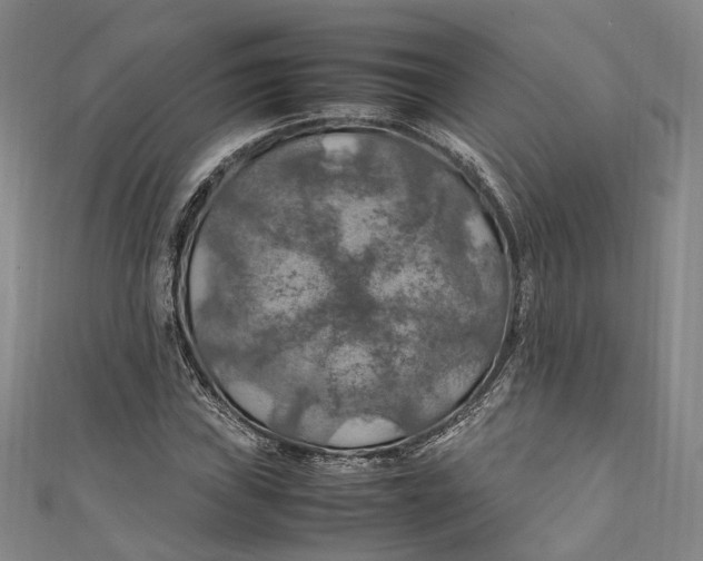 X0000111211019200907221147