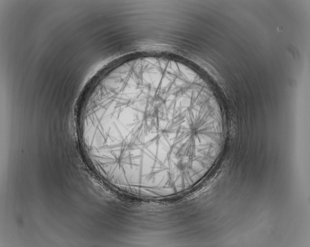 X0000111211022200907221147