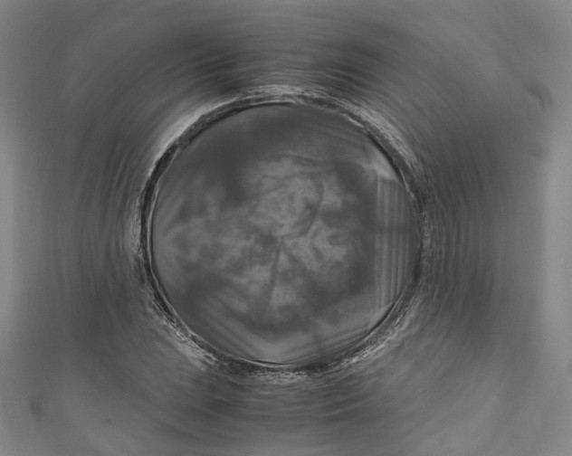 X0000111211023200907221147