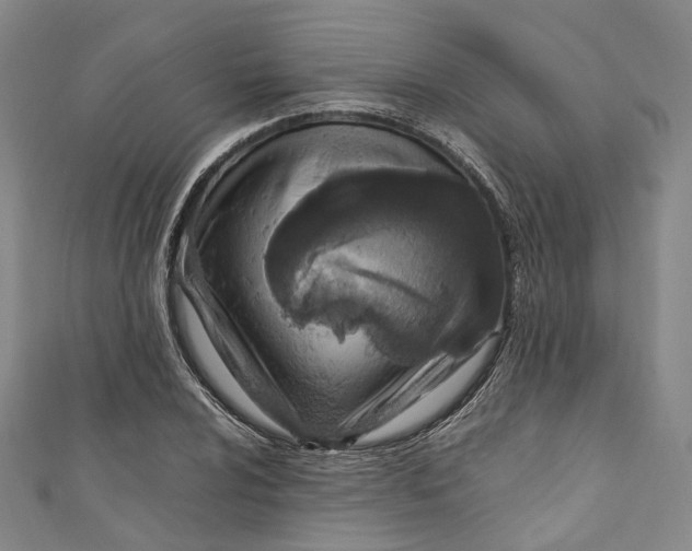 X0000111211024200907221147