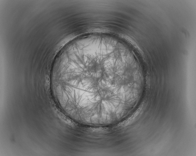 X0000111211025200907221147