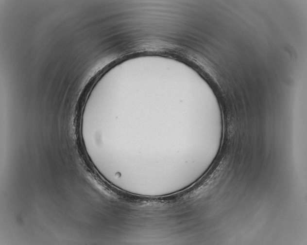 X0000111211026200907221147