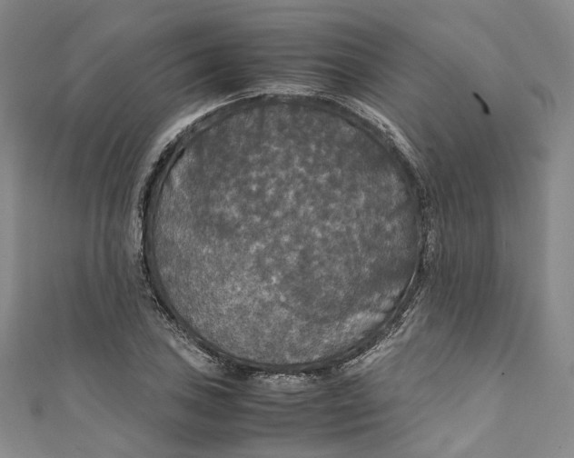 X0000111211027200907221147