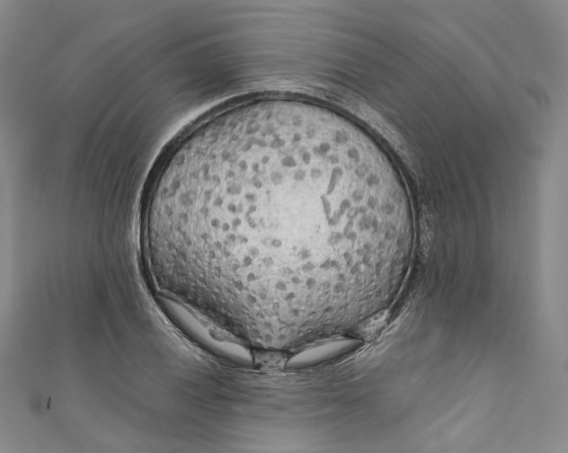 X0000111211028200907221147