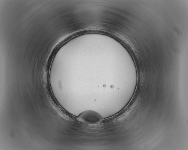 X0000111211029200907221147