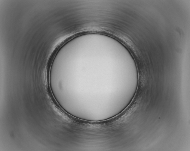 X0000111211030200907221147