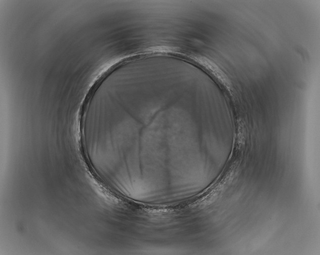 X0000111211031200907221147