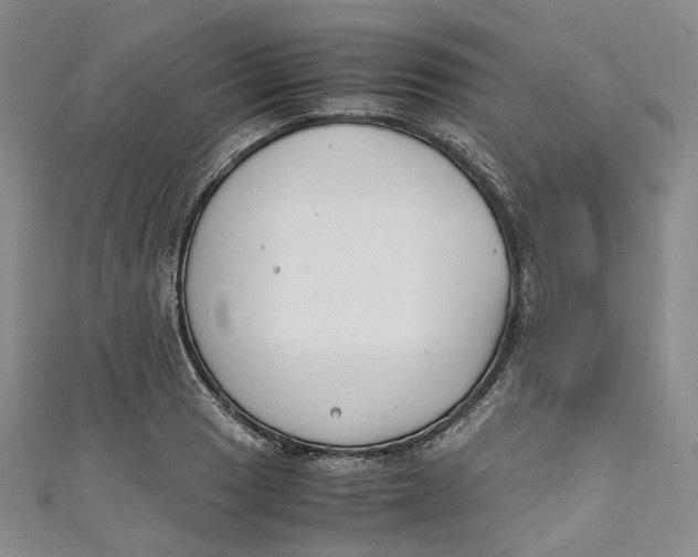 X0000111211033200907221147