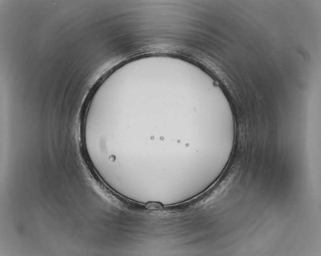 X0000111211034200907221147