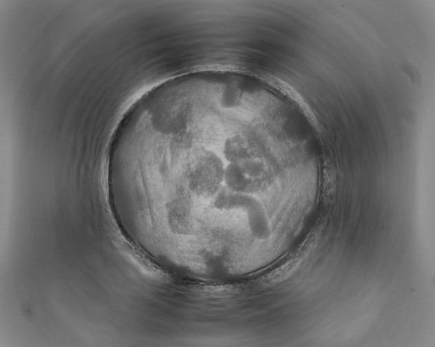 X0000111211035200907221147