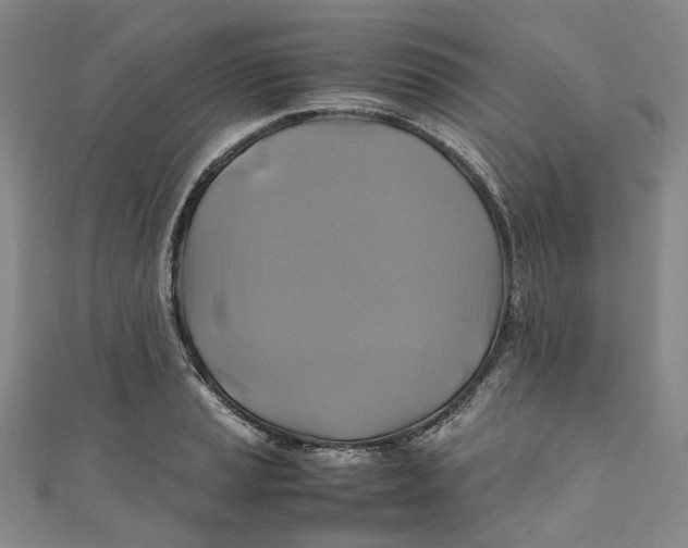 X0000111211037200907221147