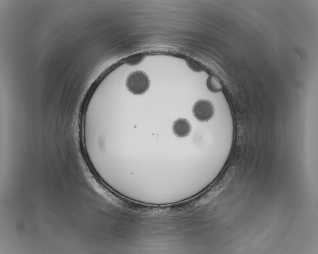 X0000111211038200907221147