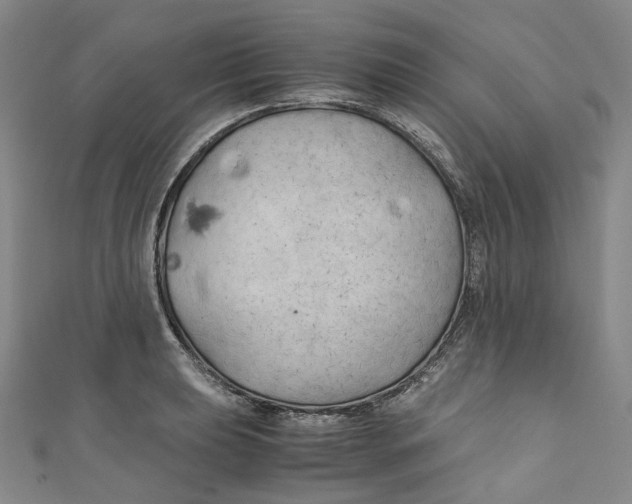 X0000111211039200907221147