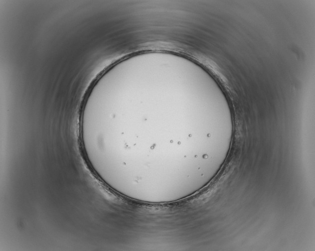 X0000111211040200907221147