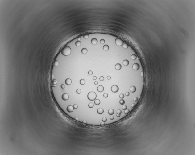 X0000111211041200907221147