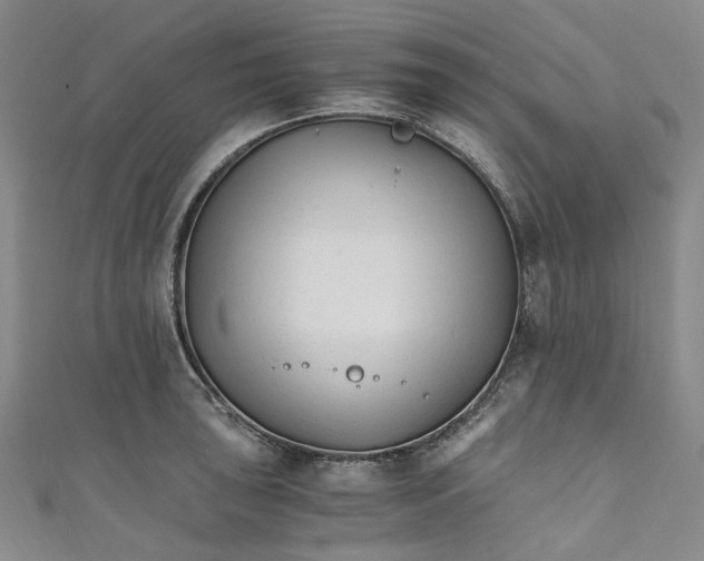 X0000111211043200907221147