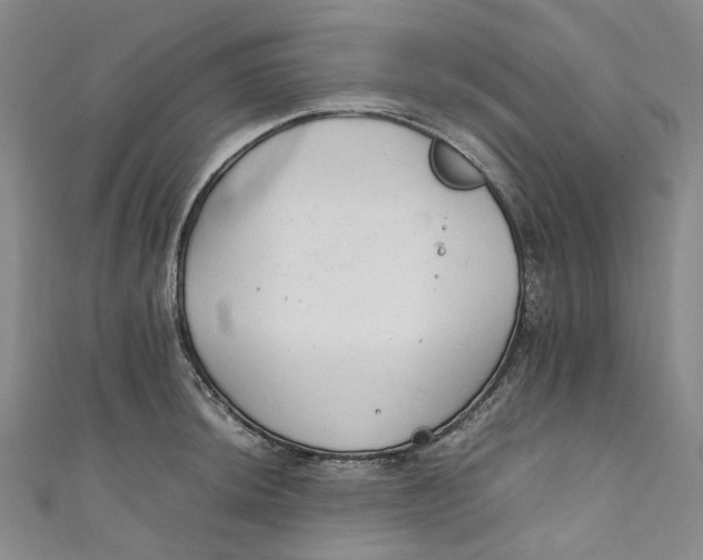 X0000111211044200907221147