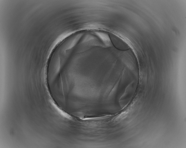 X0000111211045200907221147