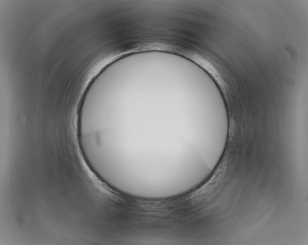 X0000111211047200907221147