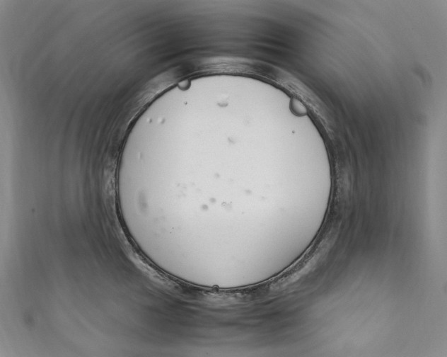 X0000111211049200907221147