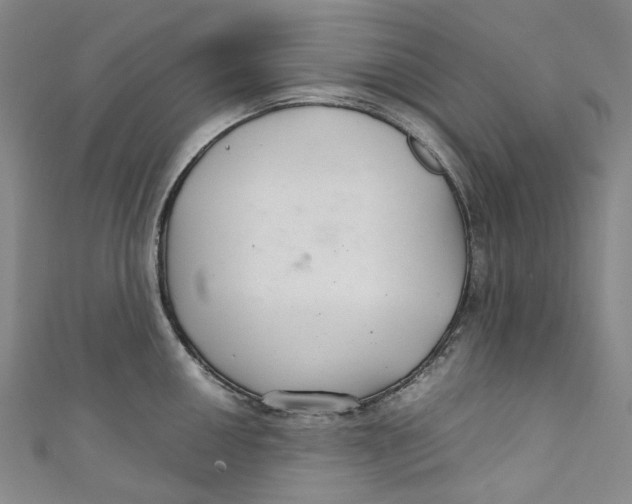 X0000111211050200907221147