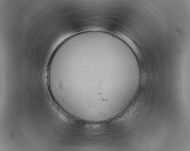 X0000111211051200907221147