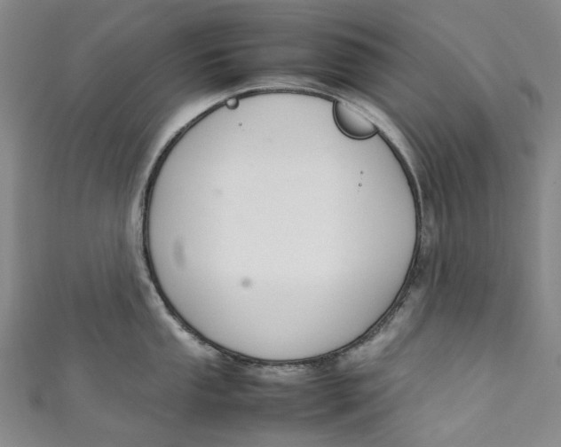 X0000111211053200907221147